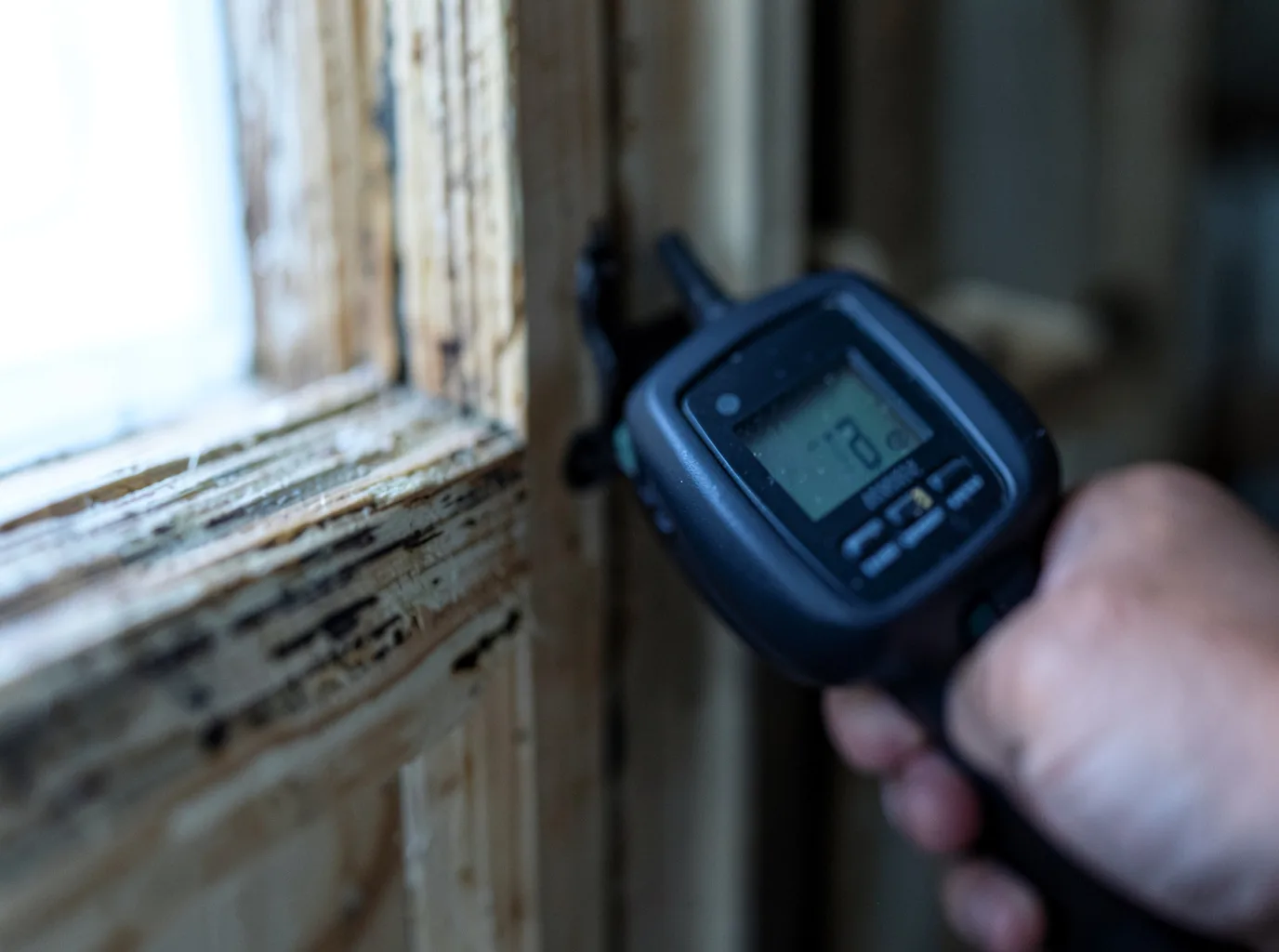 Commercial Water Damage Restoration in Frederica, DE